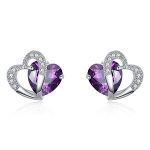 *ALLYN* Silver x Purple Fashion Stud Earrings